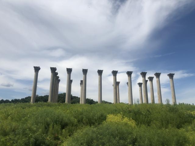     Old Capitol columns  